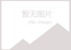 池州夏槐金属有限公司